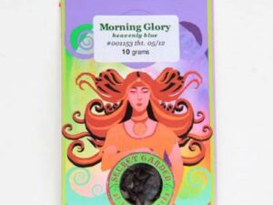 Buy Morning Glory Seeds Online